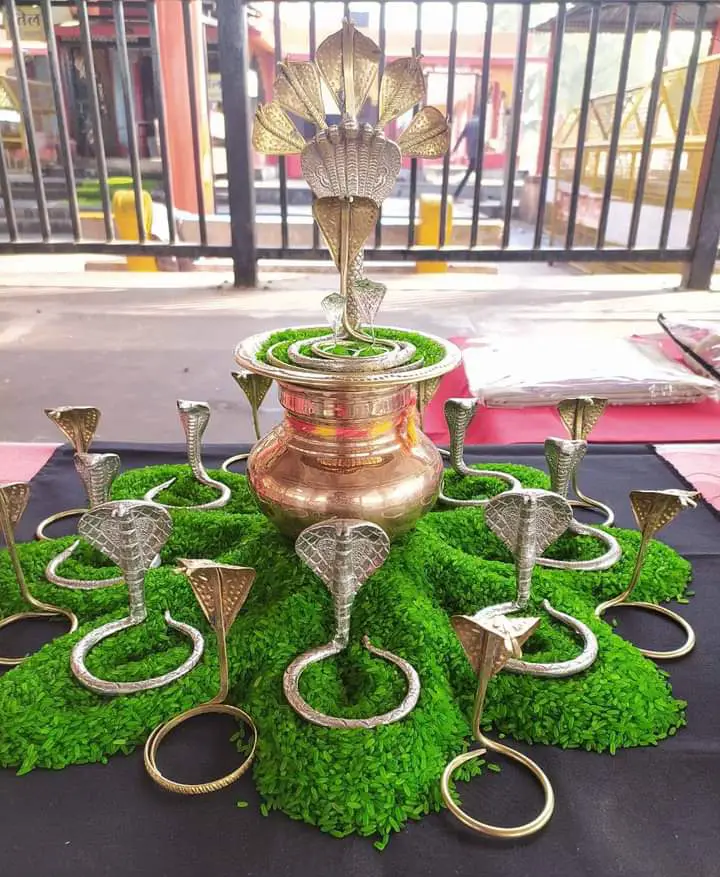 Kaal Sarp Dosh Puja
