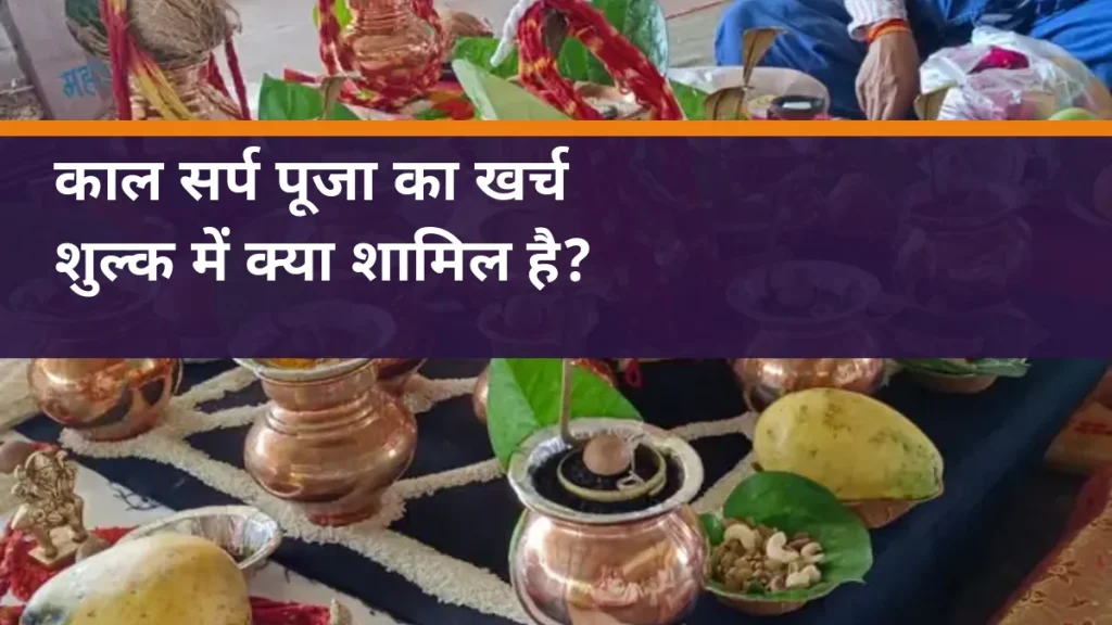 काल सर्प पूजा का खर्च - साइट की वास्तविक पूजा तैयारी का चित्र