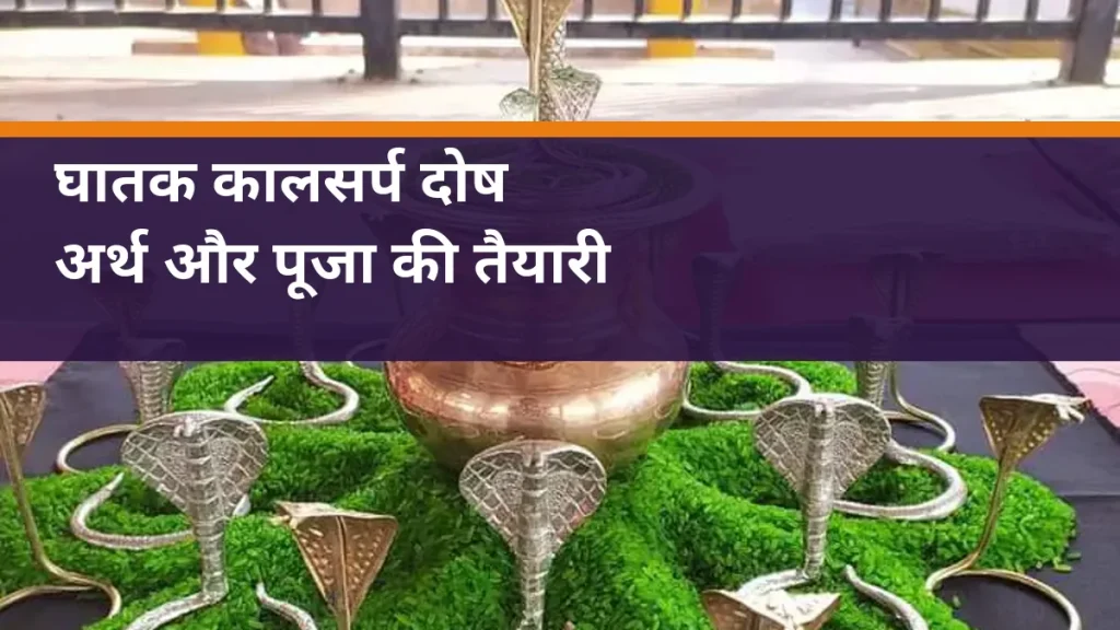 घातक कालसर्प दोष - नाग प्रतिमाओं और कलश की वास्तविक पूजा सामग्री का चित्र