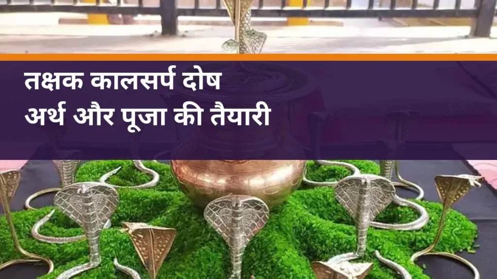 तक्षक कालसर्प दोष - नाग प्रतिमाओं और कलश की वास्तविक पूजा सामग्री का चित्र
