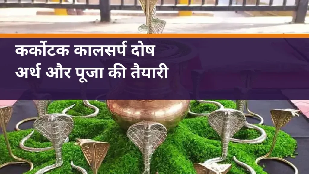 कर्कोटक कालसर्प दोष - नाग प्रतिमाओं और कलश की वास्तविक पूजा सामग्री का चित्र