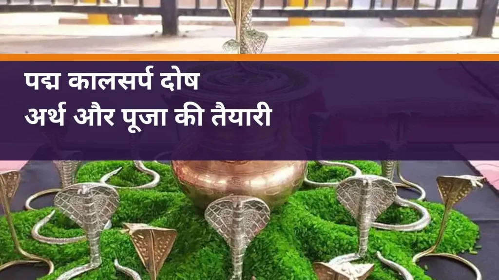 पद्म कालसर्प दोष - नाग प्रतिमाओं और कलश की वास्तविक पूजा सामग्री का चित्र