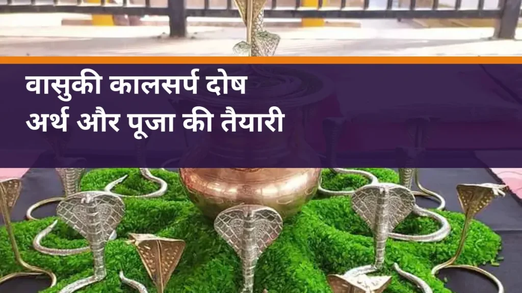 वासुकी कालसर्प दोष - नाग प्रतिमाओं और कलश की वास्तविक पूजा सामग्री का चित्र
