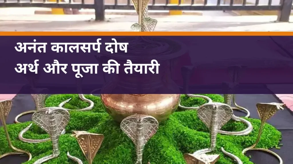 अनंत कालसर्प दोष - नाग प्रतिमाओं और कलश की वास्तविक पूजा सामग्री का चित्र