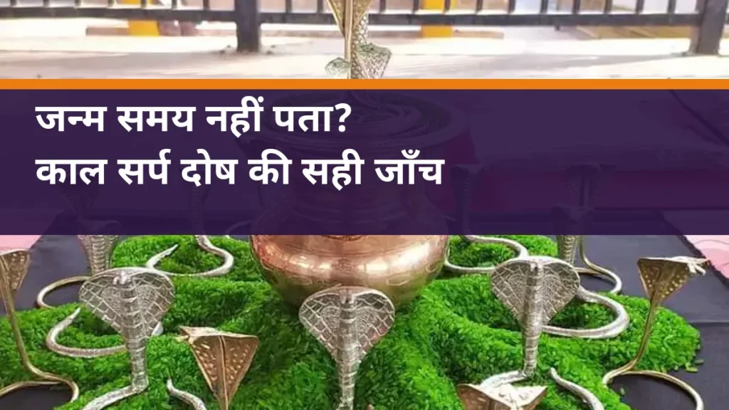 जन्म समय नहीं पता? - नाग प्रतिमाओं और कलश की वास्तविक पूजा सामग्री का चित्र