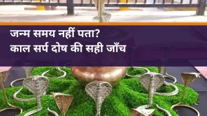 Kaal Sarp Dosh Puja Ujjain जन्म समय नहीं पता? - नाग प्रतिमाओं और कलश की वास्तविक पूजा सामग्री का चित्र