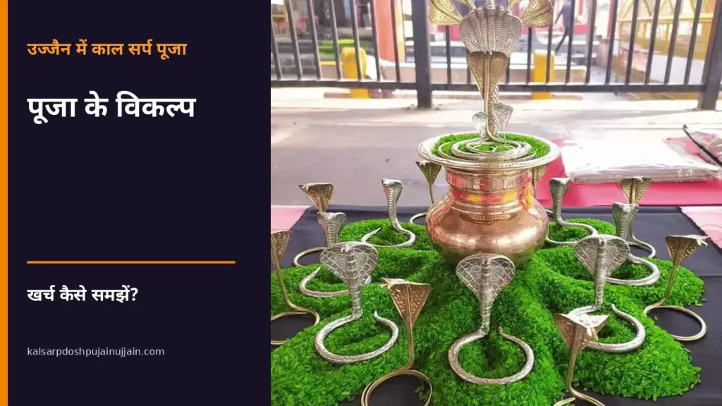 काल सर्प पूजा का खर्च और विकल्प - कलश और नाग प्रतिमाओं के वास्तविक फोटो पर पूजा के विकल्प का शीर्षक