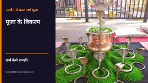 Kaal Sarp Dosh Puja Ujjain काल सर्प पूजा का खर्च और विकल्प - कलश और नाग प्रतिमाओं के वास्तविक फोटो पर पूजा के विकल्प का शीर्षक
